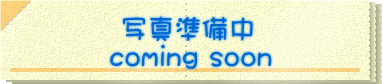  �ʐ^������ coming soon