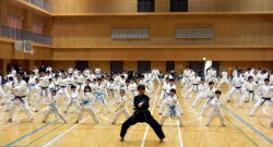 �����񍐎ʐ^