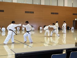 �����񍐎ʐ^